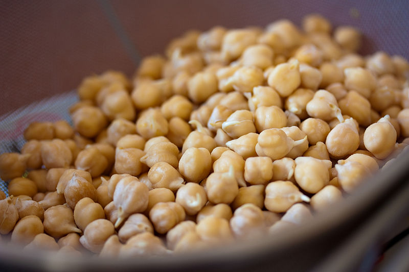Sprouted_Chickpeas_(5560562958)