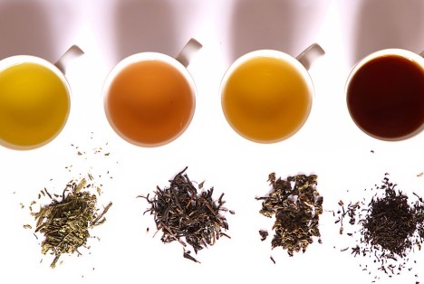 1024px-Tea_in_different_grade_of_fermentation